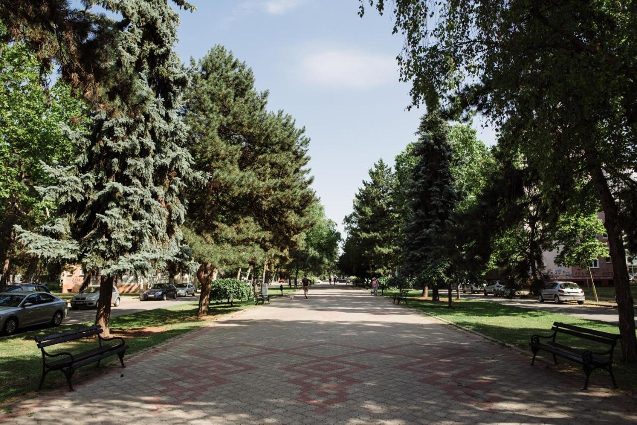 Dill Apartment Subotica