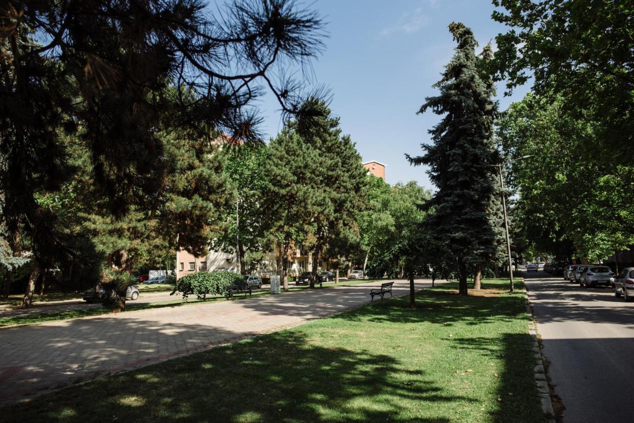 Dill * Subotica